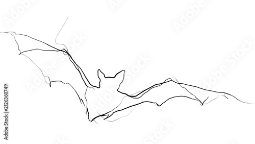 Flying bat sketch on white background.