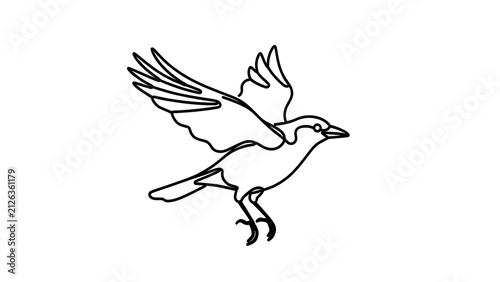 Flying bird illustration on white background.
