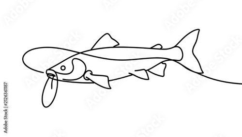 Simple fish line drawing on white background.