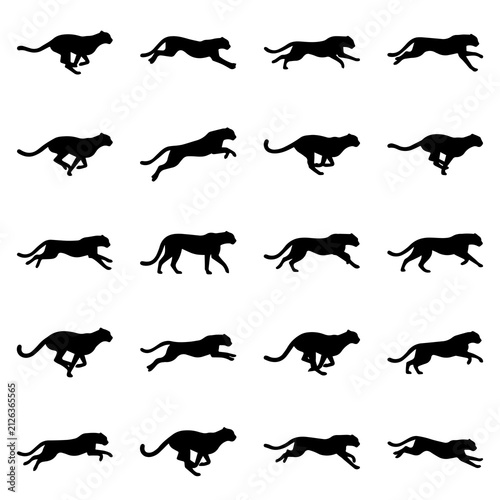 Collection of black silhouette showing cheetahs in various running and sprinting poses, isolated on a clean white background, for use