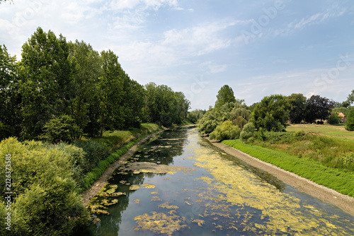 Scenic Waterway Surrounded by Green Forest Trees, kuehkopf, hesse