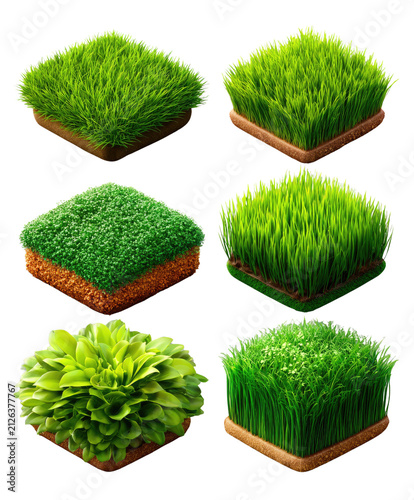 Six Squares of Lush Greenery: A collection of six distinct squares showcasing vibrant green grass and lush foliage, representing nature's diverse beauty and growth potential.