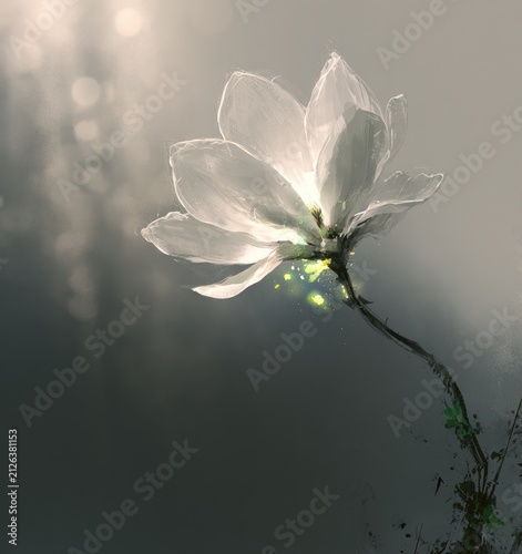 Delicate White Magnolia Flower Illuminated by Soft Sunlight.