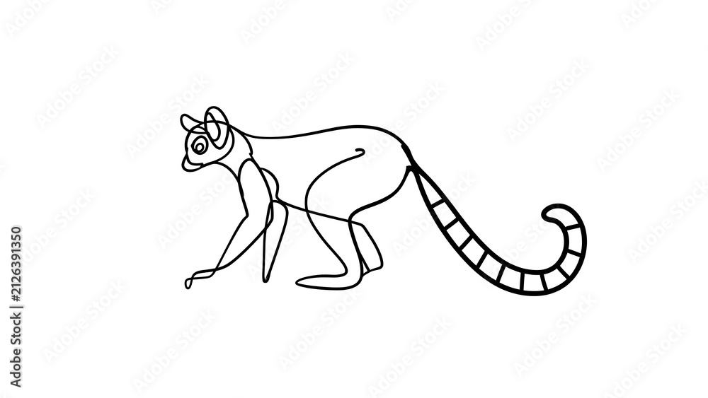 Fototapeta premium Ring tailed lemur line art white background.
