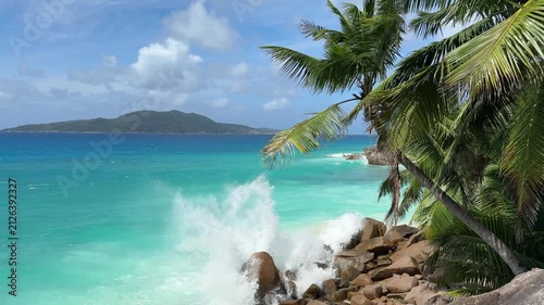 Palm trees over a turquoise strip of water, Anse Patates beach, La Digue island, Seychelles