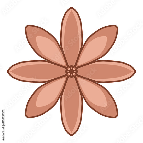 vector illustration of a flower