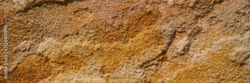 Rough sandstone surface showing natural texture and earthy brown color background