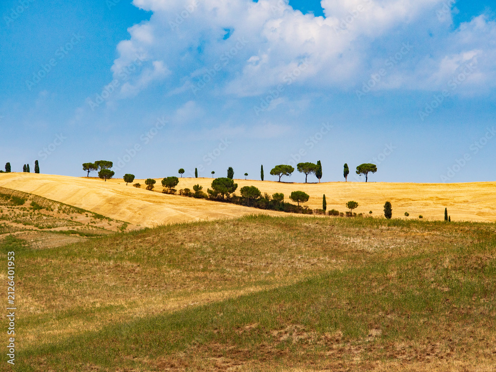 Fototapeta premium Italia, Toscana, Siena, la campagna senese in estate.