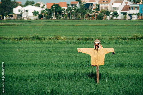 фотографія Scarecrow with Yellow Shirt in Vast Green Rice Field