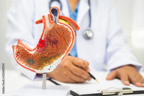 Obraz na plátně Stomach disease, doctor with anatomy model for study diagnosis and treatment in hospital