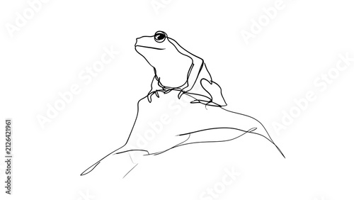 Minimalist frog sketch on white background.