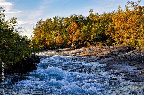 Photography Autumn landscape in  Abisko national park in north of Sweden.