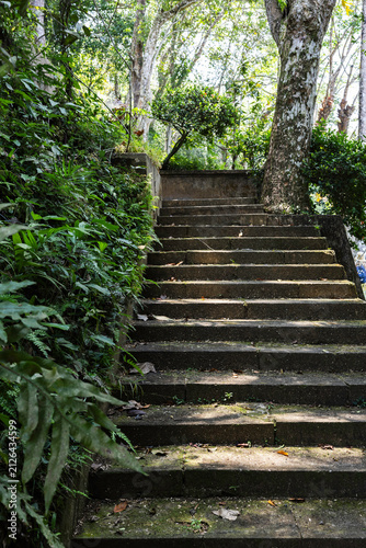 A stepped path in lush tropical gardens inSri Lanka
