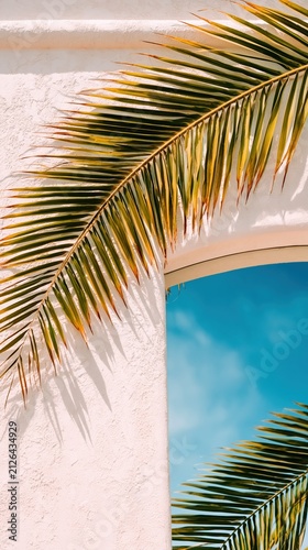 Palm leaves cast bold shadows across a sunlit white stucco wall and arched window. Vibrant blue sky reflections enhance the calm tropical resort atmosphere.