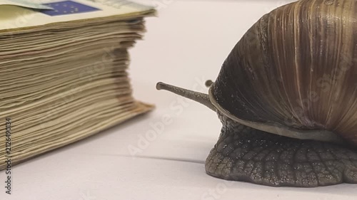a snail crawls on white paper towards a stack of copper coins	