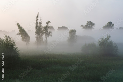Foto Ethereal misty landscape with trees and green meadow at dawn