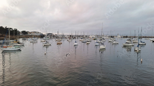 Maritime view capturing a large fleet of sailing boats, yachts, and leisure vessels moored across the calm waters of the Monterey Bay marina, with seagulls flying under an overcast evening sky. USA.