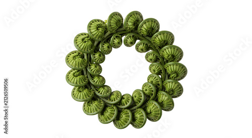 Vector illustration of green fern fronds arranged in a circular wreath on a transparent background