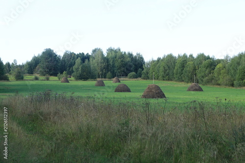 Принти на полотні haystacks in a mown field on a summer day
