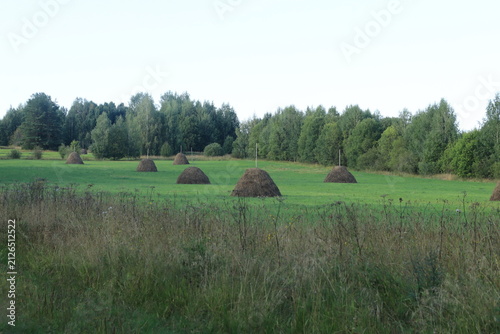 Foto haystacks on a mown meadow on a summer day
