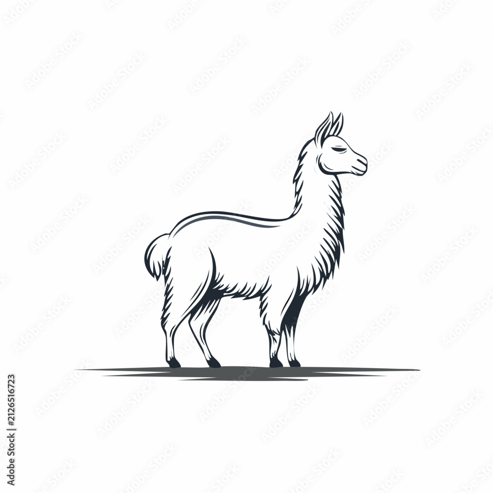 Obraz premium Minimalistische Lama-Silhouette – Exotisches Lama als Vektorillustration