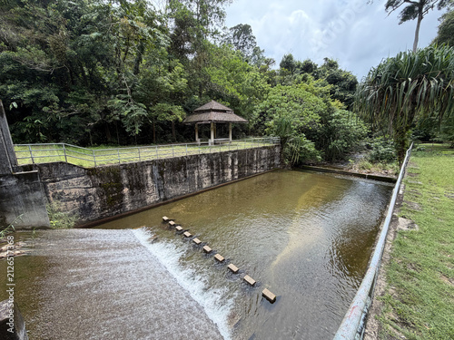 Concrete weir and shallow water pool in a tropical forest. Small dam with stepping stones and a wooden pavilion surrounded by dense green jungle vegetation