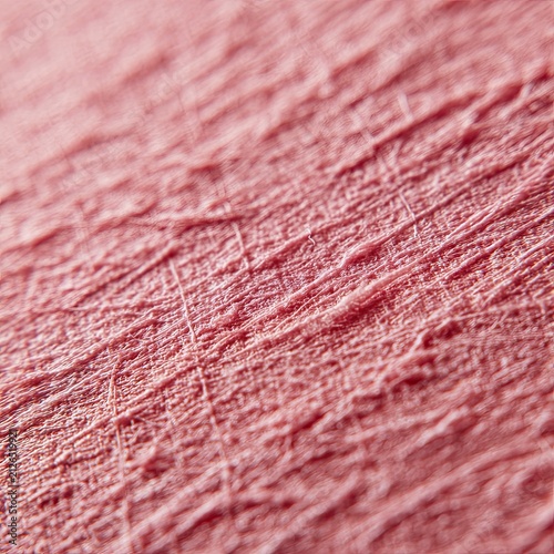 Human Skin Macro Texture Detail