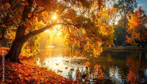 Autumn forest path with fallen leaves and sunlight.