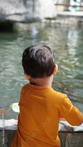 Bild auf Leinwand boy looking at the fishpond