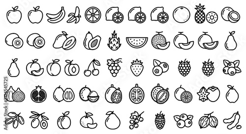 Fresh Tropical and Orchard Fruits Outline Icon Pack Editable Vector Collection