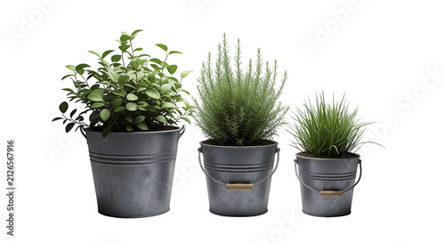 Three different sizes of green potted plants in grey plastic containers for home or office interior decoration to bring nature and freshness into the living space or garden area