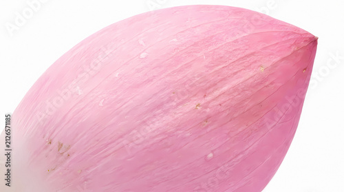 Close up macro photograph of a single delicate pink lotus flower petal showing detailed texture and veins isolated on a clean white background