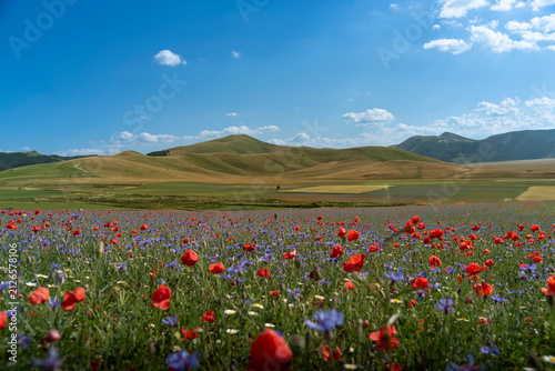Quadro su tela Sguardi su Castelluccio
