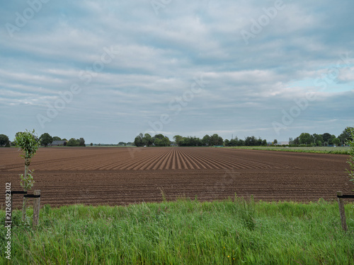 Foto Long furrows run across a ploughed Dutch farm field toward a distant tree line