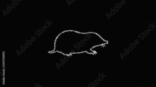 Sketch mole silhouette icon animation - smooth progressive reveal
