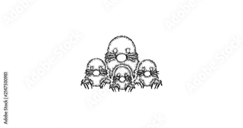 Sketch mole family icon animation - smooth progressive reveal