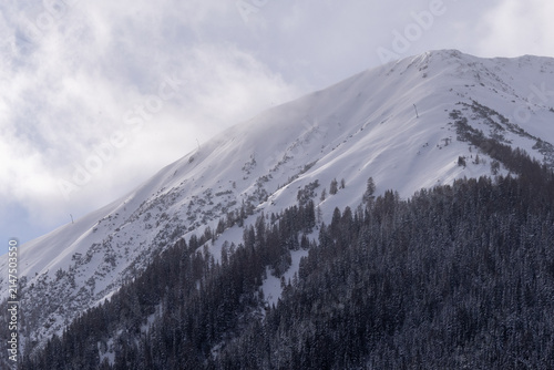 snow covered mountains