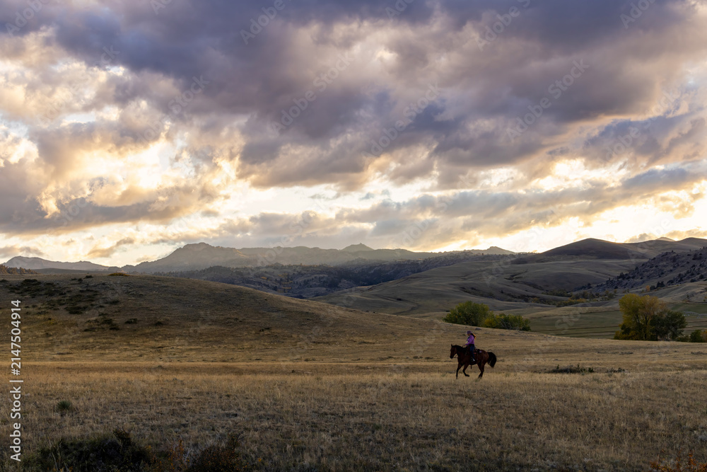 Obraz premium Wyoming Ranch Cowgirl with AQHA Quarter Horse 