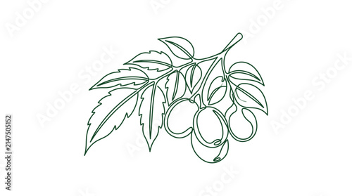 Quadro su tela Minimal fruit branch sketch.