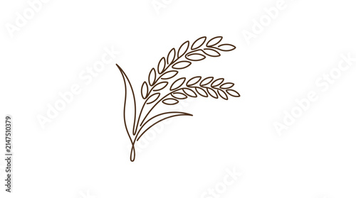 Detailed line art illustration of a rice stalk.