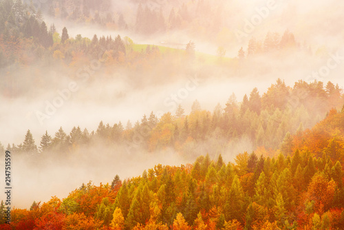 Misty autumn mountain landscape at sunrise in Slovenia