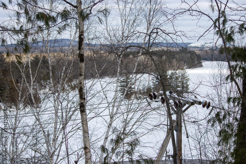 Frozen Lake Landscape Through Winter Trees and Power Lines