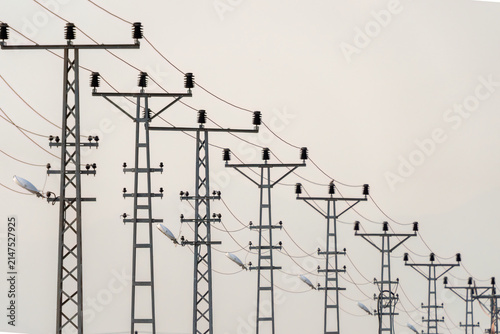 Line of electric power poles stretching into the distance against a pale sky