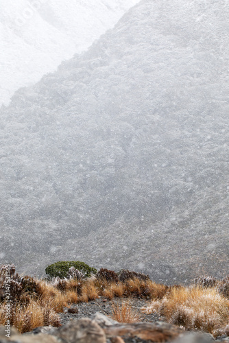 Heavy snowfall over alpine mountain landscape with winter vegetation