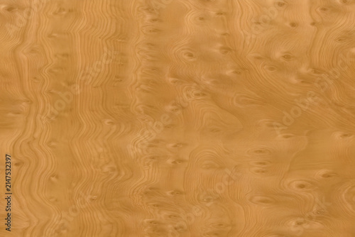 Light brown burl wood surface with swirly organic grain pattern