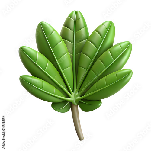 Vibrant green glossy tropical palm leaf featuring detailed veins and organic rounded shape rendered as a high quality icon on transparent background