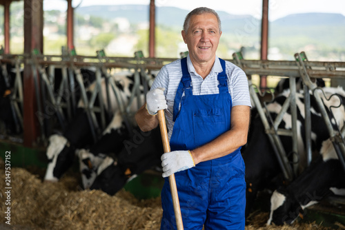 Obraz na plátně Portrait of elderly male farmer who is standing at the cow farm