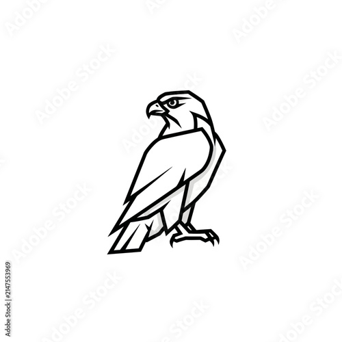 Geometric Falcon Bird Logo