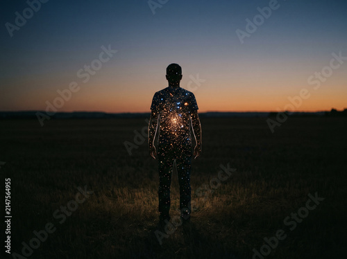 Standing silhouette filled with tiny stars against dusk sky