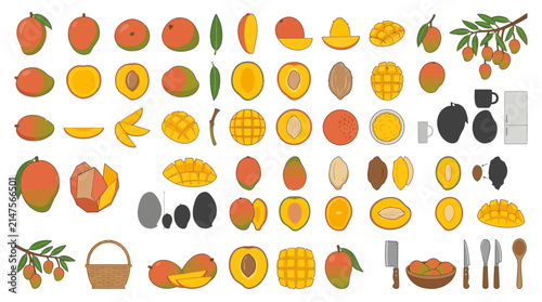 Assorted mango fruit variations and sliced sections set.